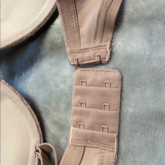 Maidenform 36 C Padded Lace Bra in Mauve - Picture 6 of 6